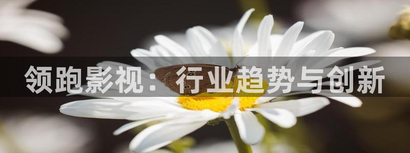 天堂私人影院樱花